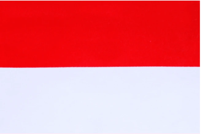 Indonesia 1